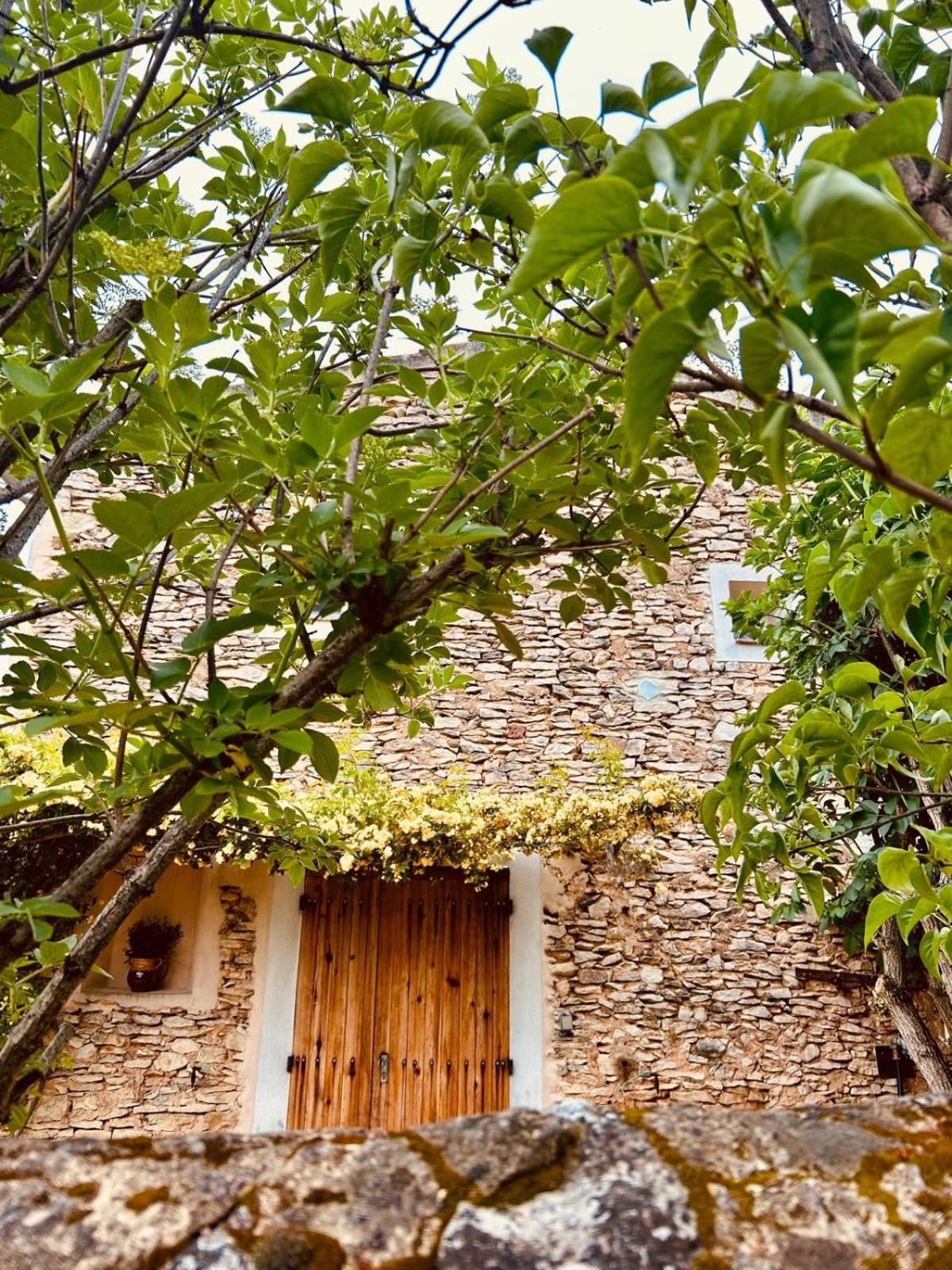 Отель La Sarrasine Villes-sur-Auzon Экстерьер фото